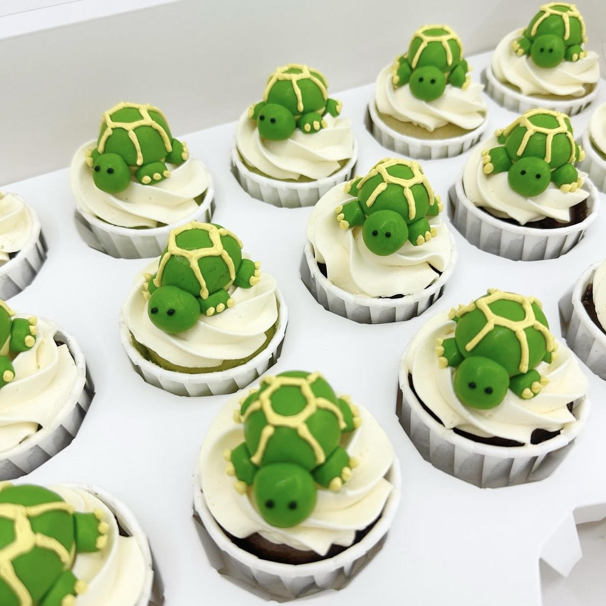 3D fondant tortoise cupcakes