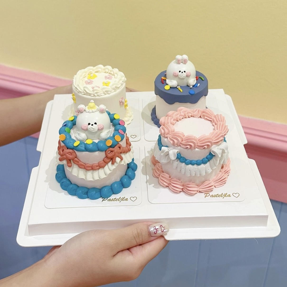 Cute tiny cake set