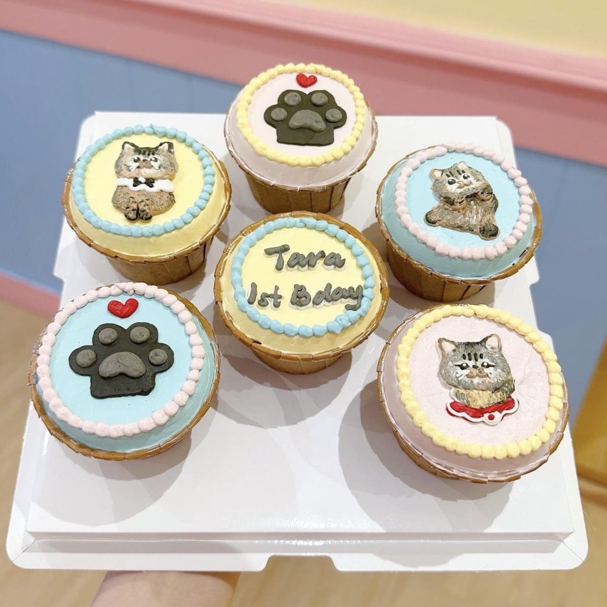 Cat Theme Cupcakes